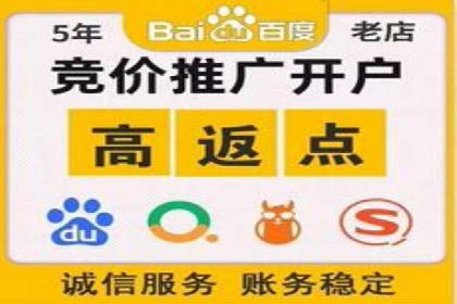 电商平台上充值返点案例分析